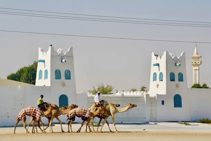 Al Sheehaniya, Qatar, 2025